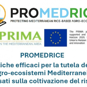 Convegno Progetto PROMEDRICE: 29/09/2026 ore 14.00